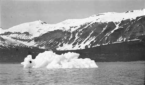 Nunatak Glacier: Historic Glacial Images of Alaska and Greenland