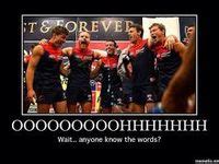 8 Footy memes ideas | footy, memes, afl