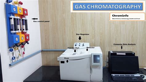 Chrominfo: Principle and Procedure of Gas Chromatography