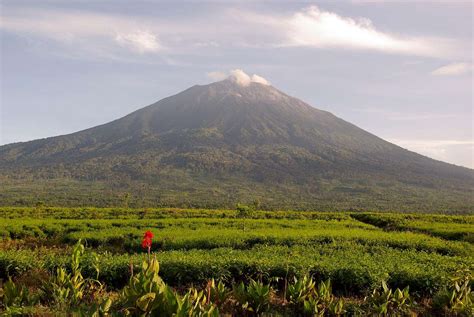 Gunung Kerinci : Photos, Diagrams & Topos : SummitPost