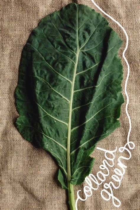 A Visual Guide to Leafy Greens: How to Cook and Store Them