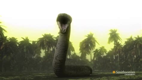 Smithsonian Titanoboa vs Planet Dinosaur Sarcosuchus | The World of Animals