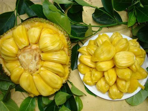 17 Proven Health Benefits of Jackfruit | Health Tips