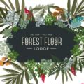 Forest Floor Lodge – Forest Floor Lodge