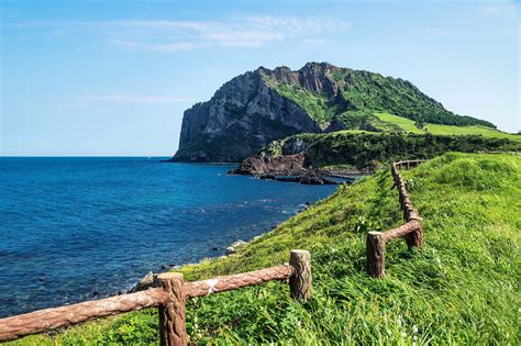 Jeju Island – the hidden gem in South Korea | Jeju island, Jeju, Jeju city