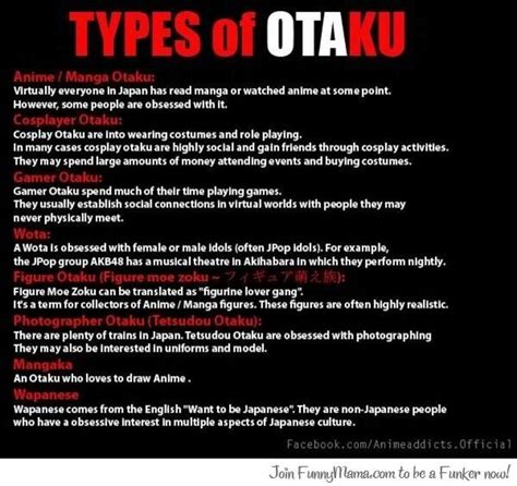 Types of Otaku | Good anime to watch, Otaku, Anime fandom