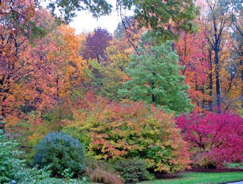 New York Botanical Garden in Autumn