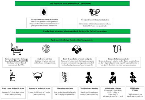 The feasibility of implementing an enhanced recovery programme in patients undergoing pelvic ...