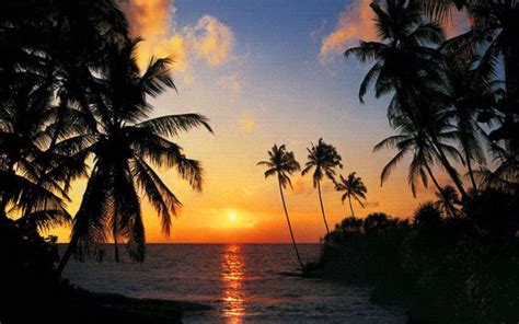 Tropical Sunrise – Modern Smoking Solutions