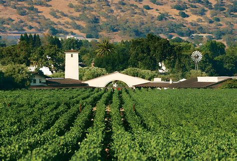 The 17 Best Napa Valley Wineries to Visit in 2024 - The Planet D