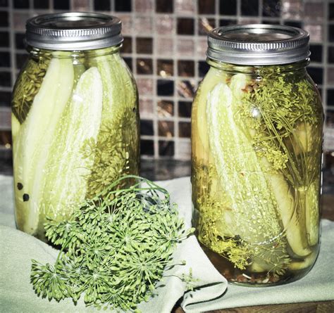 The Best Classic Kosher Dill Pickle Recipe — Tiaras & Tantrums | Pickling recipes, Dill pickle ...