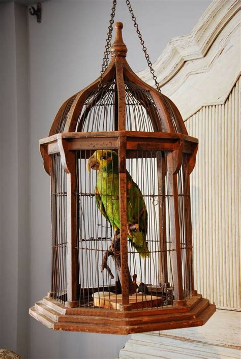 Green Parrot in a Cage - Stock - Blanchard Collective | Antiques, Marlborough