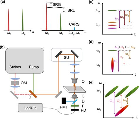 Coherent Raman microscopy could be expanded through fusion of instruments and computers