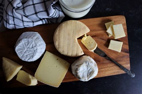 50+ Cheesemaking Recipes (for Beginners and Beyond) — Practical Self ...