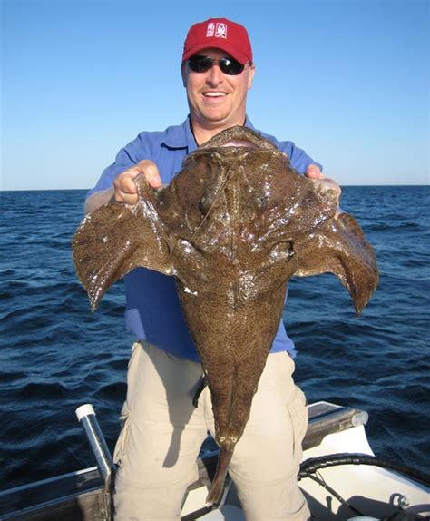 Big Fishes of the World: ANGLER FISH MONKFISH (Lophius piscatorius)