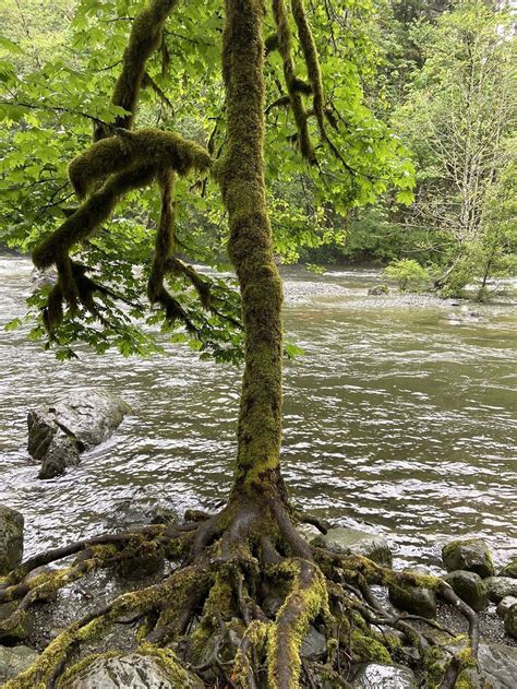 Twin Falls Trail - Trails Near Me