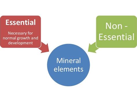 Mineral nutrition of plants