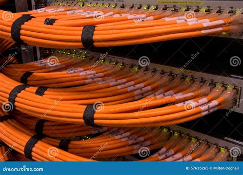 Network Hub and Fibre Cables Stock Image - Image of digital, networking: 57635265