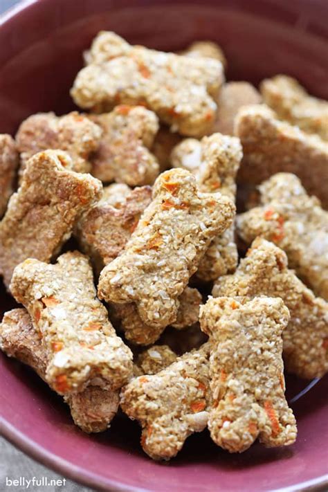 Carrot Cake Homemade Dog Treats - Belly Full