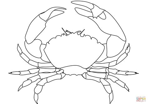 Crab coloring page | Free Printable Coloring Pages