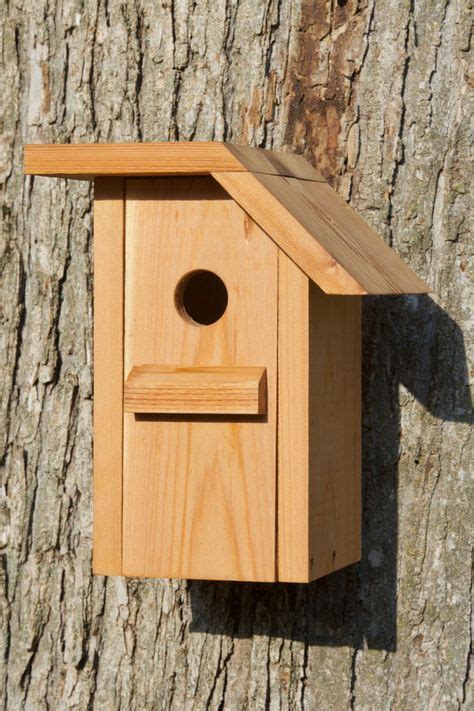 White-breasted Nuthatch Cedar Bird House - Etsy | Bird house kits, Bird house, Bird houses