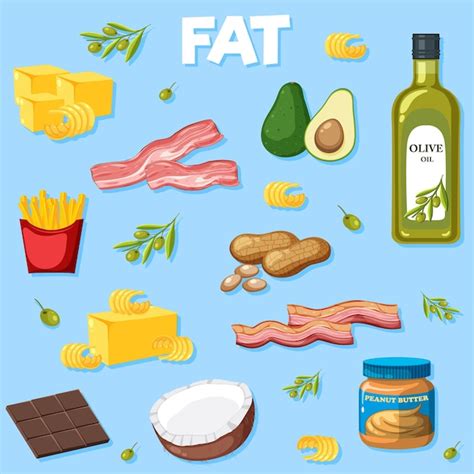 Premium Vector | Variety of fat foods