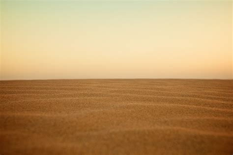 desert, sky, sand, landscape, clouds, outdoors, plants, black sand ...