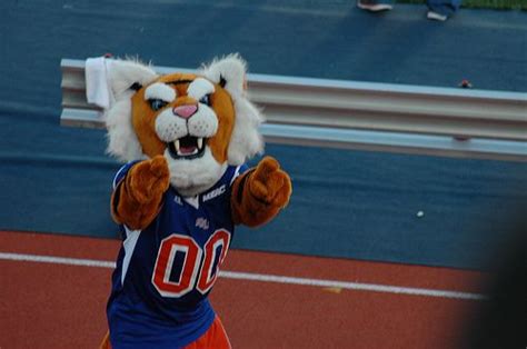 Savannah State Tigers mascot | Savannah state university, Mascot, Dance teams