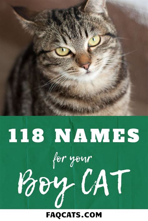 Need unique cat names for your cat? Whether it's a tabby, calico or burmese, this list of 118 ...