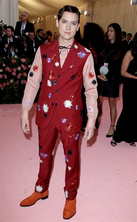 Cole Sprouse from 2019 Met Gala Red Carpet Fashion | E! News