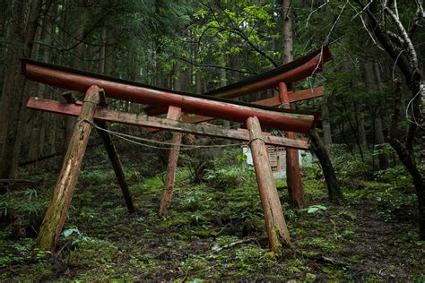 A slowly decaying Shinto shrine and its truly incredible torii — Tokyo ...