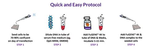 FuGENE® 4K DNA Transfection Reagent