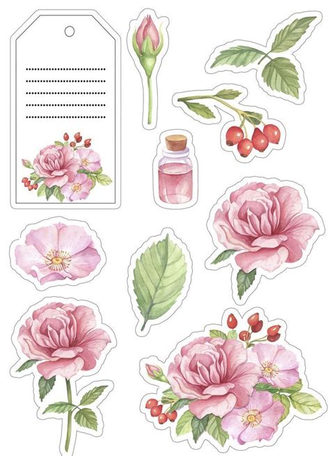 Pink Roses Stickers - Printable Planner Stickers, Scrapbook Decor