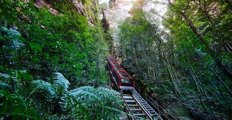 From Sydney: Blue Mountains, Scenic World All Inclusive Tour | GetYourGuide