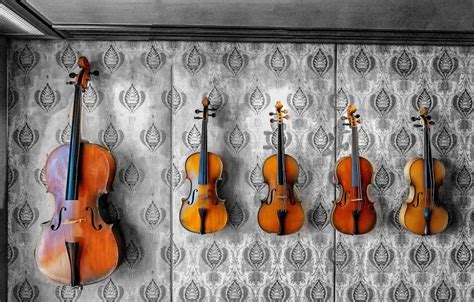 Viola vs Violin: 5 Key Differences Between The Two Instruments