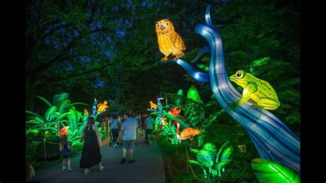 Boston Lights: A Lantern Experience at Franklin Park Zoo - YouTube