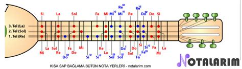 Kısa ve Uzun Sap Bağlama için nota yerleri | Notalarım