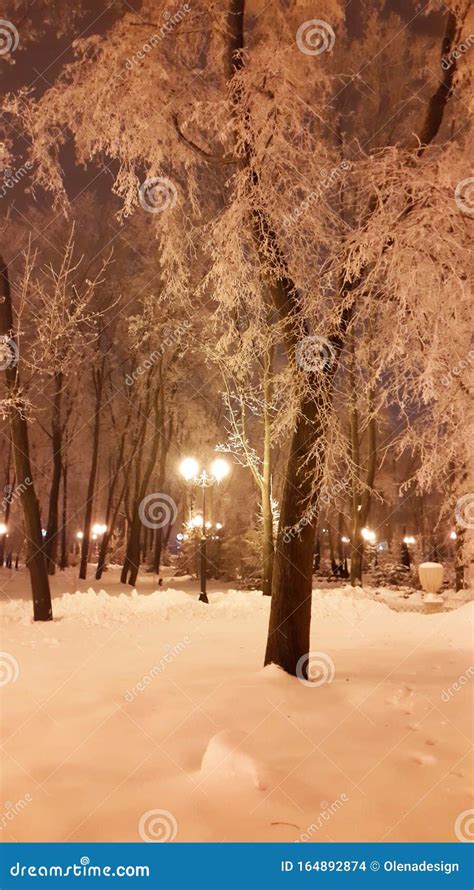 Streetlights at Evening in Kharkiv Winter Park Stock Photo - Image of snow, lamp: 164892874