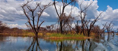 Lake Baringo Safari & Kenya Trip | Enchanting Travels