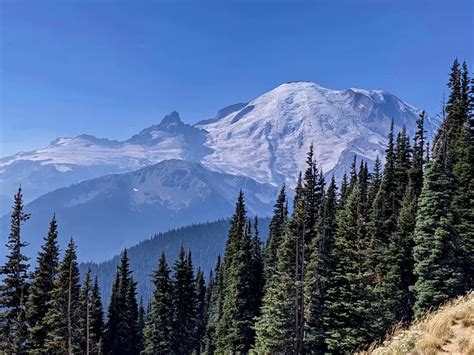 Sunrise at Mount Rainier National Park, A Must See! – Never Stop Adventuring