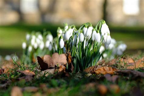 Spring in Poland | Kids in the City