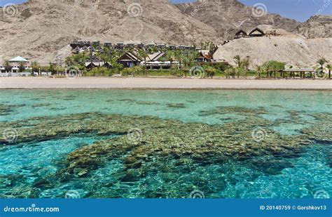 View on Coral Reef Near Eilat, Israel Stock Image - Image of palm, tower: 20140759