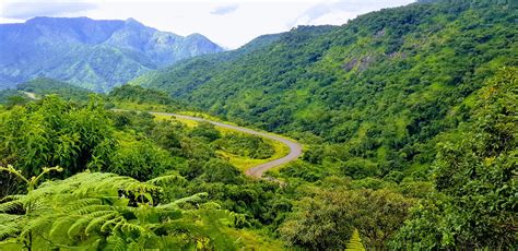 Mambilla Plateau, Taraba State Nigeria - Ou Travel and Tour