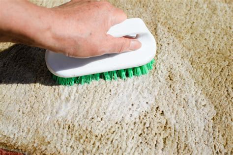 How to Clean A Rug At Home By Hand? Deep Cleaning Method