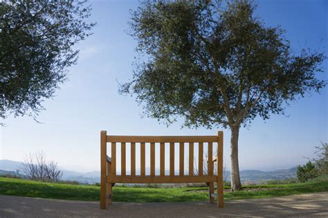 Park Bench With A View Free Stock Photo - Public Domain Pictures