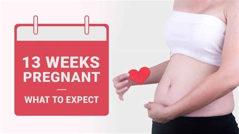 13 Weeks Pregnant - Symptoms, Baby Development, and Tips!