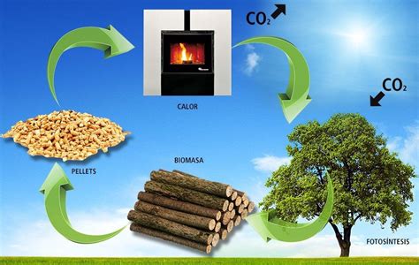 Energía de Biomasa: qué es, ventajas y desventajas - Erenovable.com