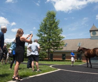 Gainesway Farm - Lexington, KY - VisitLex