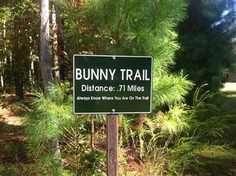 BUT FIRST…A BUNNY TRAIL | Confronting Galatians