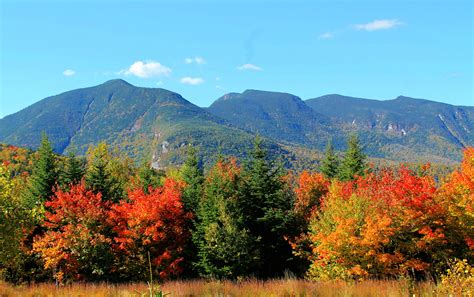 Foliage White Mountains New Hampshire